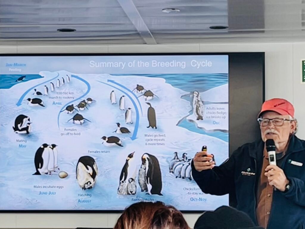 FCB127D6-4A07-44DC-AF3F-AC3DC5D6F689_1_201_a