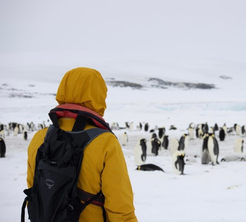 media65ca1207e1d2c127500339 2